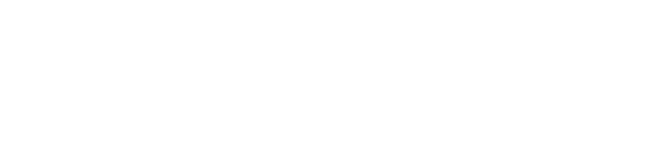 GV AGENCY